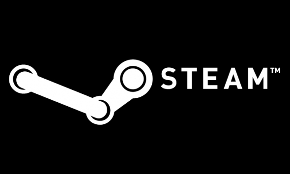 Steam, la piattaforma principe dei videogiochi.